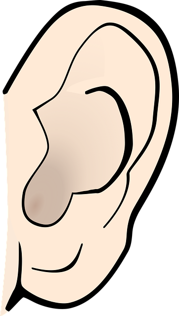 ear